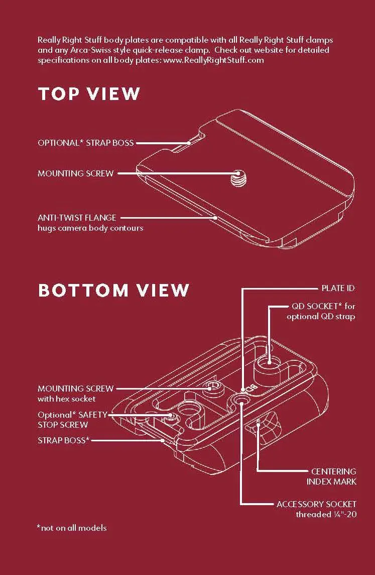 detailed line drawing of camera plate